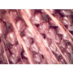 rosegold króm latex lufi, 12 cm