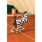 Zebra fólia lufi